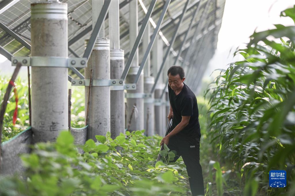 正规的扎金花