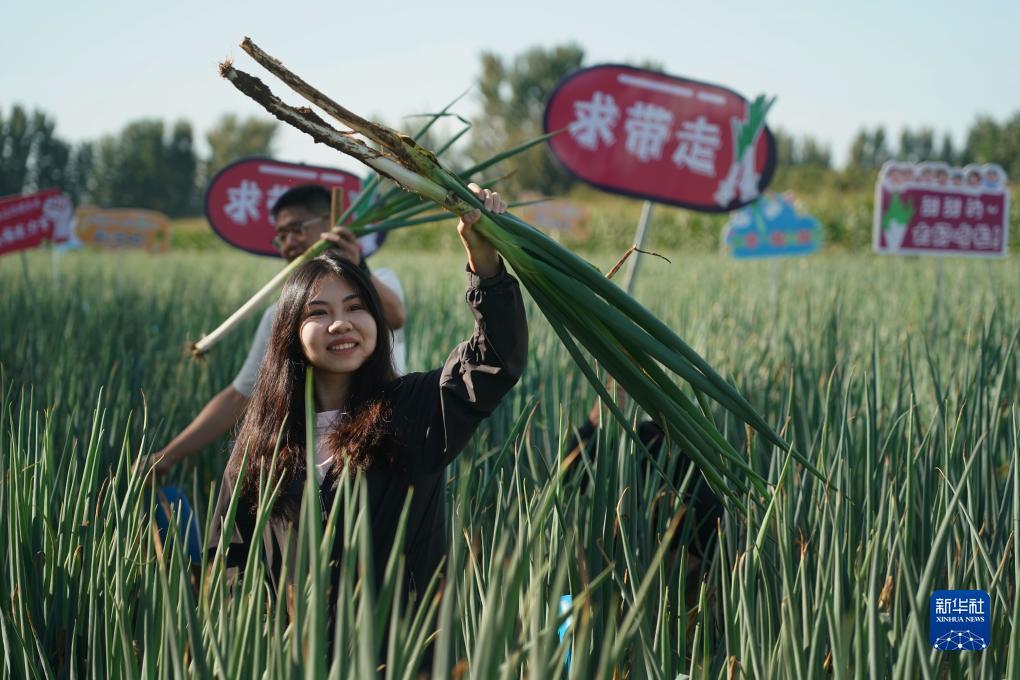 白菜送彩金大全免费